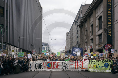 fridays for future