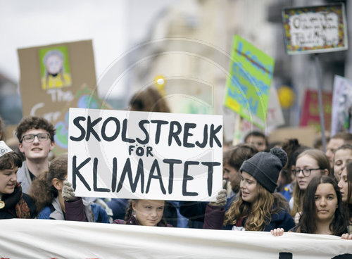 fridays for future