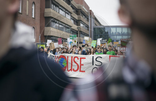 fridays for future