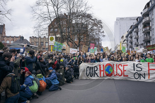 fridays for future