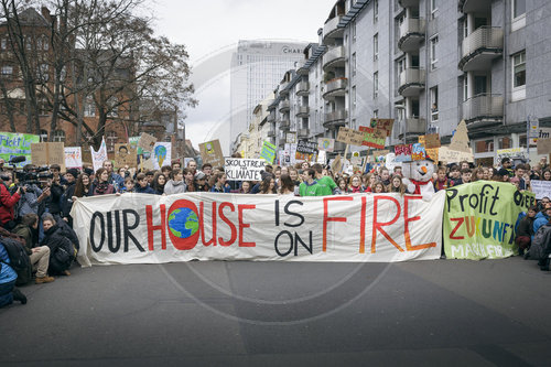 fridays for future