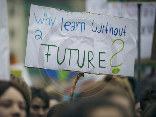 fridays for future