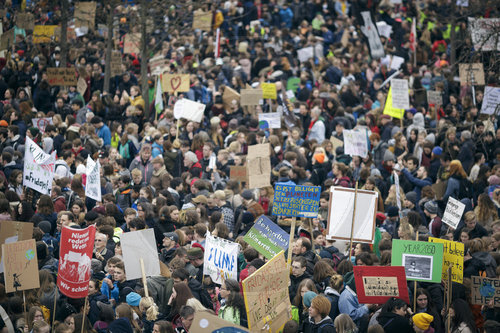 fridays for future