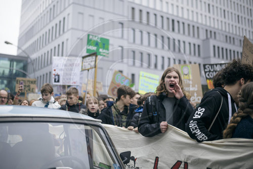 fridays for future