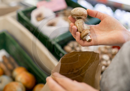 Champignons ohne Verpackung