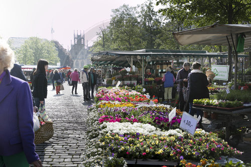 Wochemmarkt