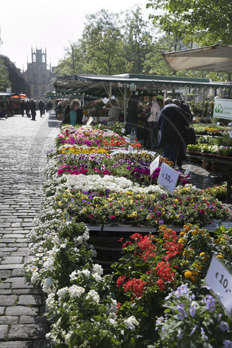 Wochemmarkt