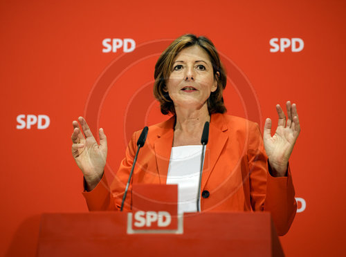 SPD Kommissarische Parteispitze