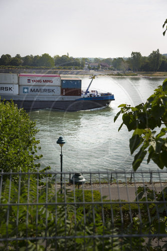 Containerschiff auf dem Rhein in Bonn