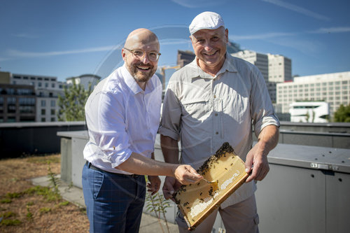 StS Kralinski und Imker Ackermann bei der Honigernte