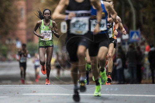 Berlin-Marathon 2019