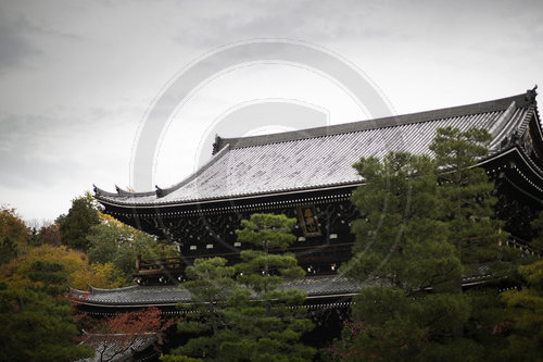 BM Maas reist nach Japan