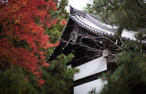 BM Maas reist nach Japan