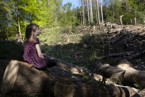 Kind sitzt im Wald