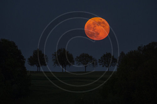 Vollmond