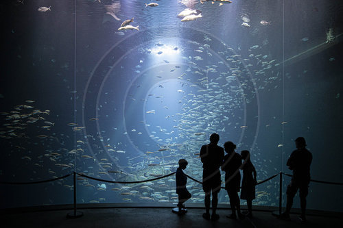 Ozeaneum