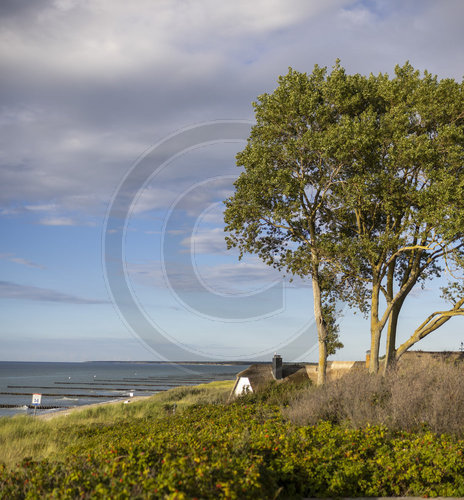 Haus am Strand in Ahrenshoop