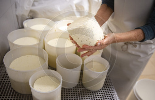 Kaeseproduktion in Handarbeit