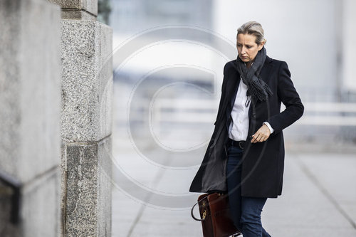 Alice Weidel