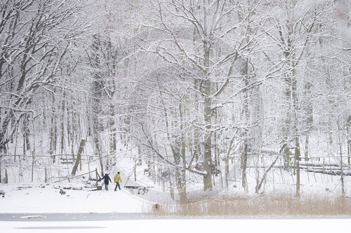 Winter in Berlin