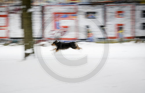 Winter in Berlin