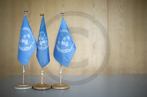 Flags of the United Nations, UN