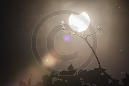 Partielle Sonnenfinsternis
