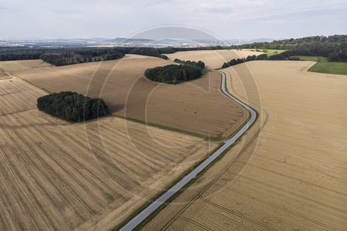 Weizenfelder in Sachsen