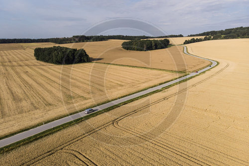 Weizenfelder in Sachsen