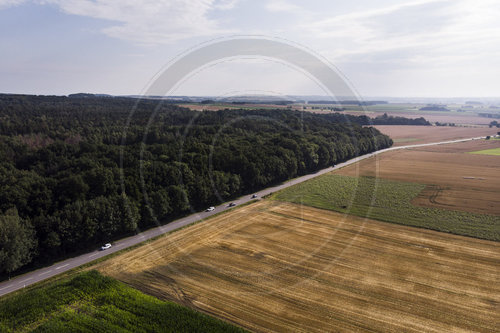 Wald und Felder in Sachsen
