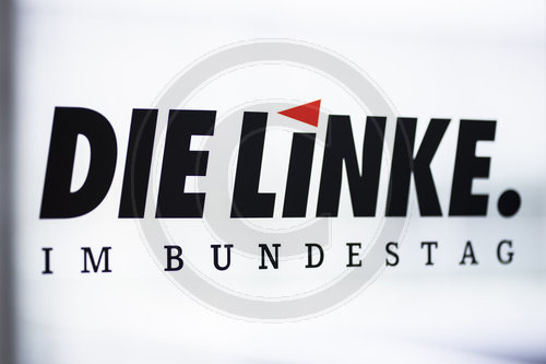 Fraktion Die Linke