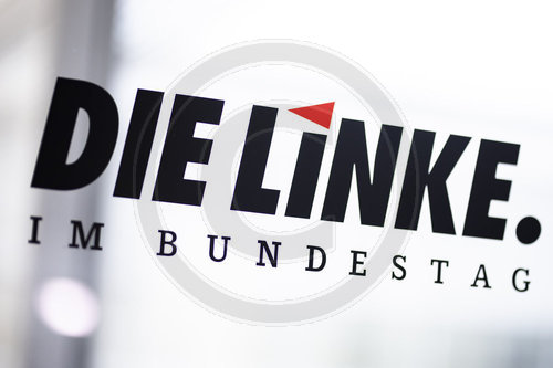 Fraktion Die Linke