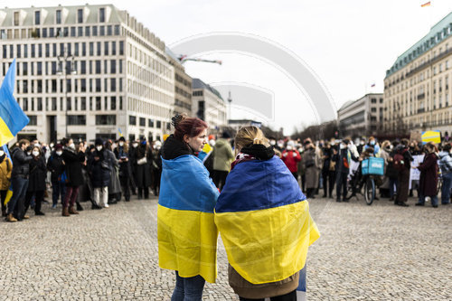 Demonstration fuer die Ukraine