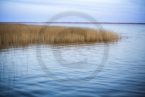 Bodden Fischland-Darss-Zingst