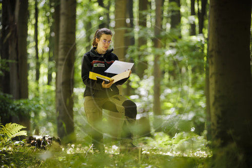 Forschung im Wald