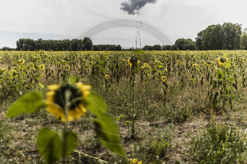 Kohlekraftwerk Jaenschwalde