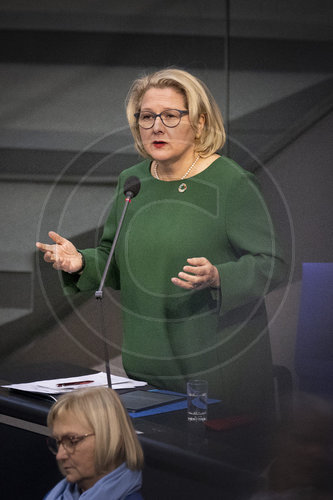 Svenja Schulze bei Regierungsbefragung