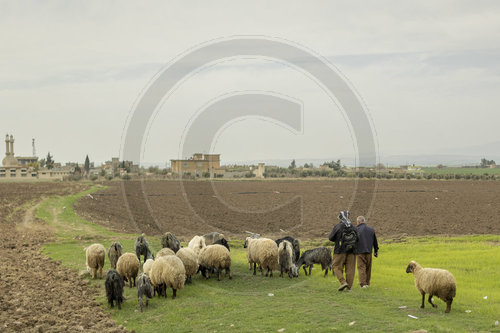 Landwirtschaft im Irak