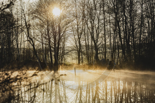 Morgenstimmung, Nebel ueber einem See