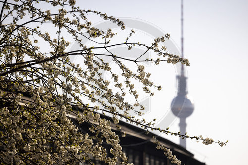 Fruehlingswetter in Berlin