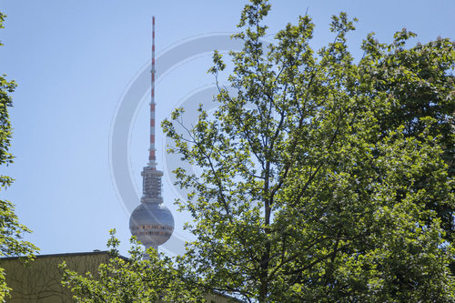 Berliner Fernsehturm vor blauem Himmel hinter Baeumen