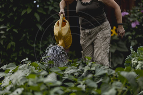 Gartenarbeit