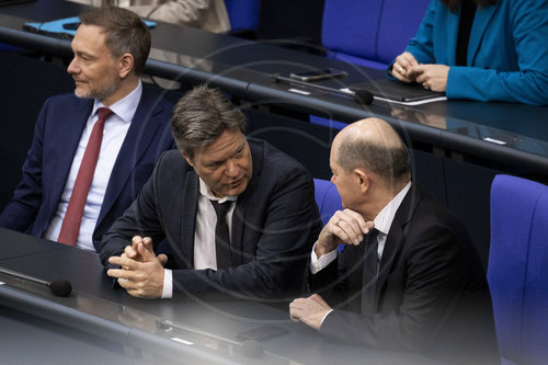 Sitzung des Deutschen Bundestag