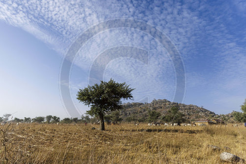 Afrikanische Landschaft