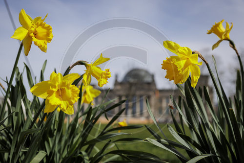 Fruehlingswetter in Berlin