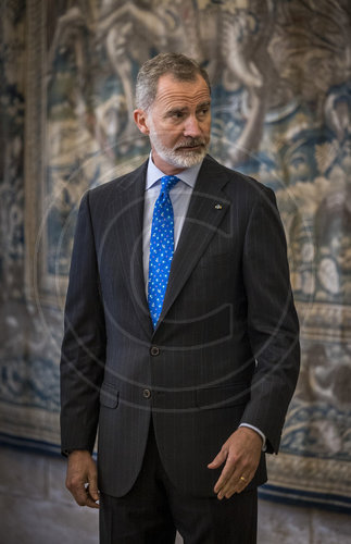 Felipe VI., Koenig von Spanien