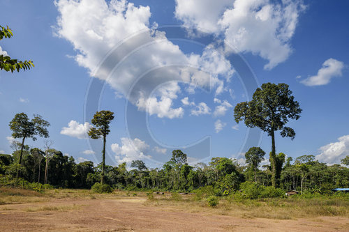 Nationalwald Tapajos