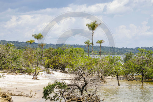 Rio Tapajos