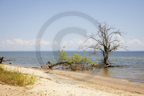 Rio Tapajos