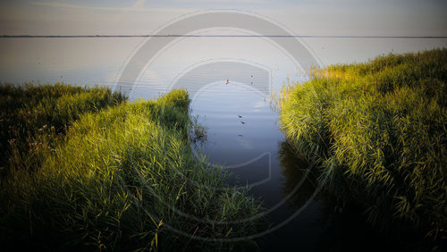 Bodstedter Bodden am Darss